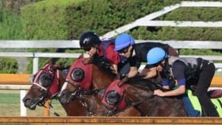 トップチェッカー、新潟2歳S2週前追い切り速報/栗東トレセンニュース