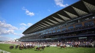 英チャンピオンSにカランダガン、オンブズマンら早期45頭が登録…カタールレーシングが新冠スポンサーに