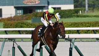 【CBC賞予想】波乱警戒の一戦 ディアナザールを推すポイントは