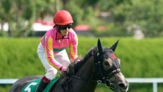 快速テイエムスパーダが引退