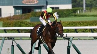 【CBC賞予想】サマースプリント第4戦 瞬発力勝負の中京芝1200mハンデ重賞