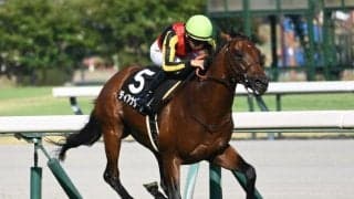 【CBC賞・馬体重】ディアナザールは496kg(±0)、レイピアは508kg(-2)