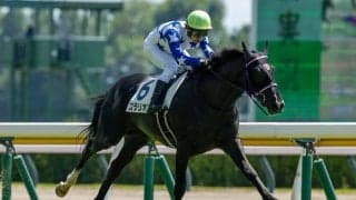 【新馬/新潟3R】リオンディーズ産駒 コラリオンが差し切りV
