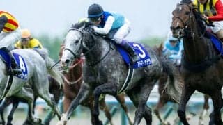 【札幌記念登録馬】アドマイヤテラなど16頭
