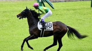 【中京記念登録馬】サトノシャイニングなど17頭