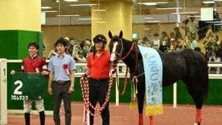 フロムダスクが悲願の重賞初制覇 背景には成長力秘める父系の血統あり