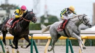 山の日に知りたい「山」のレース名 日本一の富士山から標高4.5mの天保山まで