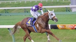【盛岡・クラスターC】JBCスプリントを見据える砂の快足馬が激突 サンライズアムールの連覇か、他馬の台頭か