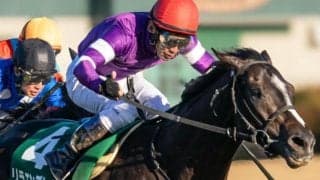 半弟2頭がセール総額10億円超え！ 良血リラエンブレムが中京記念で復活なるか