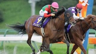 【クラスターC】1番人気アンズアメが測ったような差し切りV…3連勝で重賞初制覇