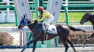 【新潟JS予想オッズ】プラチナドリームが予想1番人気