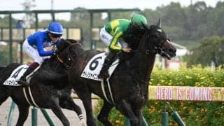 【中京記念予想オッズ】サトノシャイニングが予想1番人気