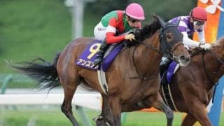 【盛岡・クラスターC結果】アンズアメが差し切って重賞初制覇