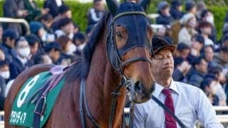 【札幌記念】レース史上初のセン馬Vなるか グランディア＆オニャンコポンが参戦だ