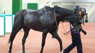 【注目馬動向】鬼脚で古馬撃破のラベルセーヌは秋華賞を目標　三面川特別を上がり最速３２秒３の末脚で快勝