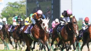【注目馬動向】ＮＨＫマイルＣ覇者のロデオドライブは新潟記念でルメール騎手と初コンビ　初めての２０００メートルに挑戦