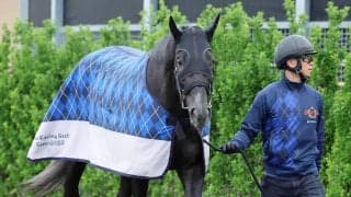 【新潟記念・２週前】日本ダービー回避のゾロアストロは仕切り直しの一戦へ　宮田調教師「ここでやれれば楽しみが増える」