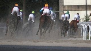 【笠松・くろゆり賞結果】マンノライトニングが重賞連勝を飾る