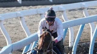 【注目馬動向】しらさぎＳ４着のファンダムは京成杯ＡＨへ　２５年の毎日杯以来２つ目の重賞タイトル狙う