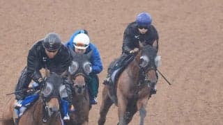 【新潟２歳Ｓ・１週前】トウシンマジックが不良馬場で自己ベスト　「あんなに走れるとは」と秋本師は手応え十分