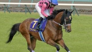 ファントムシーフが2年10カ月ぶりの復帰戦！ 中京記念で史上最長ブランク重賞Vなるか