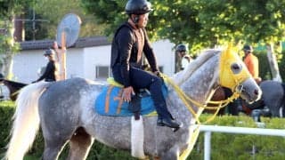 【札幌記念】「絞れて良くなってくる」マイネルモーントは３頭併せの仕上げ　七夕賞２着からの変化に陣営手応え