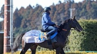 【新潟ジャンプＳ】喉手術で復調してきたブラックボイス　浅利調教師「なじんで能力を出せるようになってきた」