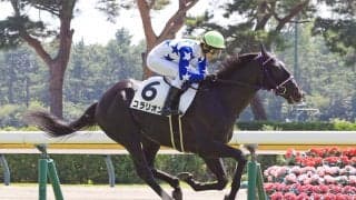 【注目馬動向】田辺裕信騎手が評価するコラリオンは百日草特別が本線　アイビーＳや東京スポーツ杯２歳Ｓも選択肢に