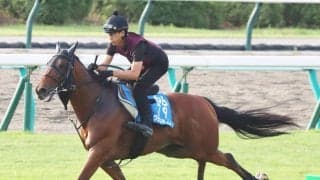 【札幌記念】グランディアは芝コースを単走で素軽い動き　陣営「すごく良かった前走に近い状態になってくれる」