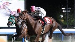 【読売レディス杯】高知から遠征のスカンジナビアが８連勝で重賞初勝利　井上瑛太騎手「自信満々で金沢まで来ました」