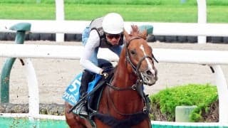 【札幌記念】重賞２勝のシェイクユアハートは宮調教師が満点評価　「息の乱れもなく、ぶれもないし、何の問題もない」