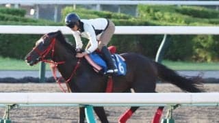 【札幌記念】エコロヴァルツは横山武史騎手が騎乗し上々の動き　気になる喉は「多少鳴いてはいた」
