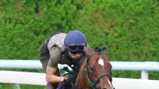 【キーンランドＣ１週前】昨年覇者のパンジャタワーは推進力十分　追い切り騎乗の佐々木大輔騎手「さすがＧ１馬」