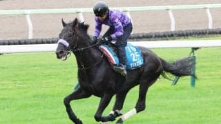 【札幌記念】マジックサンズが３頭併せで伸びやかな走り　折り合いも完璧　陣営「成長しましたね」