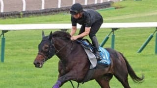 【札幌記念】ゴール後も勢い止まらず　昨年日本ダービー３着のショウヘイが余力十分の追い切り