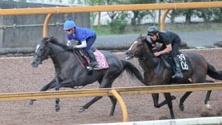 【中京記念】田口貫太騎手「しっかりと仕上がりました」　重賞初制覇を目指すナムラコスモスが圧巻の動き