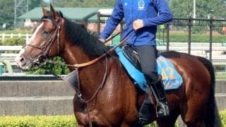 【札幌記念】札幌で好走率が大幅にアップする種牡馬が見逃せない！狙いは経験値あるハービンジャー産駒の２頭