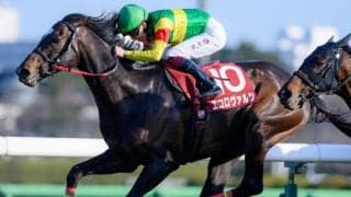 【札幌記念】15回目の挑戦で悲願成就へ エコロヴァルツが初タイトルを狙う