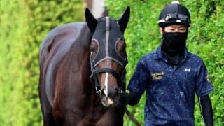 【注目馬動向】５・９億円馬エムズビギンは来週栗東に帰厩　武豊騎手とのコンビで神戸新聞杯から始動