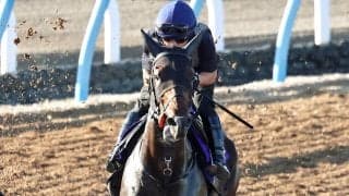 【注目馬動向】佐渡Ｓでオープン入りした皐月賞３着馬ライヒスアドラーは毎日王冠へ
