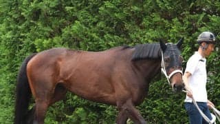 【注目馬動向】フラワーＣ勝ち馬スマートプリエールはローズＳで復帰　帝王賞２着のアウトレンジは白山大賞典へ