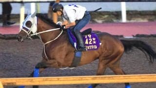【注目馬動向】武豊騎手と挑む凱旋門賞に向けてメイショウタバルが帰厩後の初時計　石橋調教師「遅い時計でもしっかり抑えが利いた」