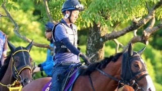 【注目馬動向】ママコチャは武豊騎手とのコンビでセントウルＳから復帰　その後は３年ぶりＶ狙うスプリンターズＳへ