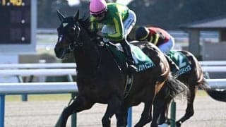 【中京記念出走馬・騎手確定】サトノシャイニング＆J.コレット騎手、リリージョワ＆浜中俊騎手など16頭