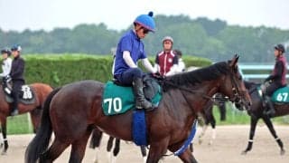 【ＰＯＧ】母に海外Ｇ１馬の良血馬ホウオウワールドが１６日の中京３Ｒでデビュー　池江調教師「瞬発力がありますね」