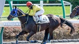 【新潟JS出走馬・騎手確定】プラチナドリーム＆高田潤騎手、シャンデルナゴル＆中村将之騎手など11頭