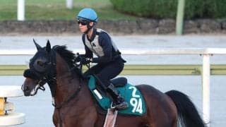 【ＰＯＧ】重賞勝ち馬と互角に動いたデュアルサインに注目　武幸調教師「動きだけならかなりいい」