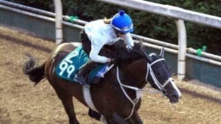 【ＰＯＧ】今村聖奈騎手の手綱で重賞ウィナーの母と姉を持つ良血馬がデビュー　「調教を重ねるごとに良くなっています」