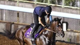 【ジャックルマロワ賞】シックスペンスは本番と同じ直線コースで追い切り　陣営「慣れてほしい」　シュトラウスは芝の周回コース