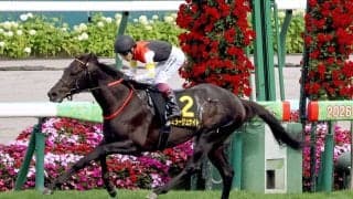 【注目馬動向】札幌日経賞勝ちのミラージュナイトはオールカマーか京都大賞典の両にらみ